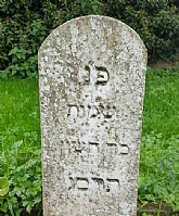 נקיון יסודי ושיפוצים בבית הקברות היהודי בסופיה